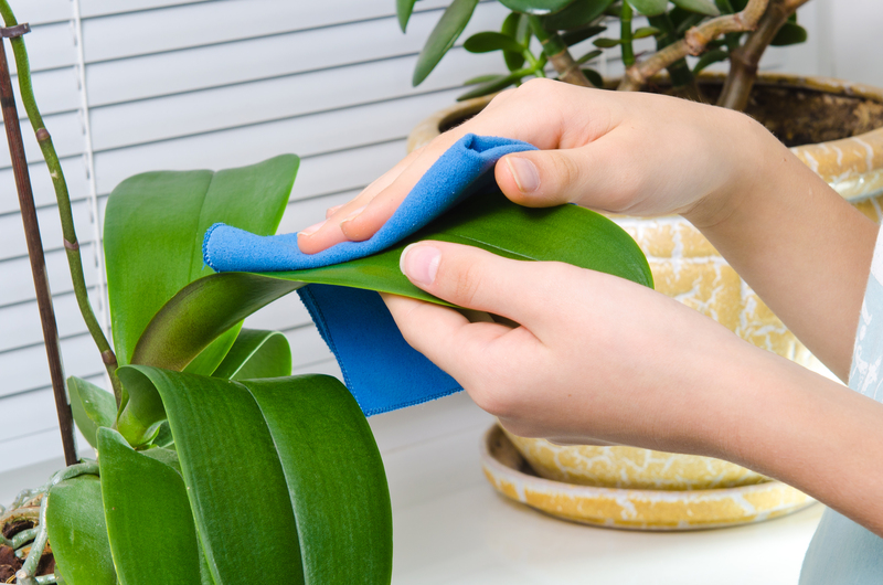 deep cleaning furniture cleaning