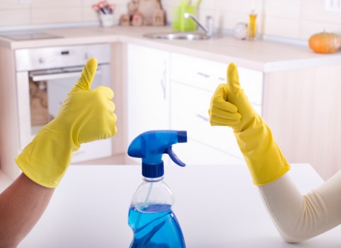 Free quote policy for carpet cleaning services