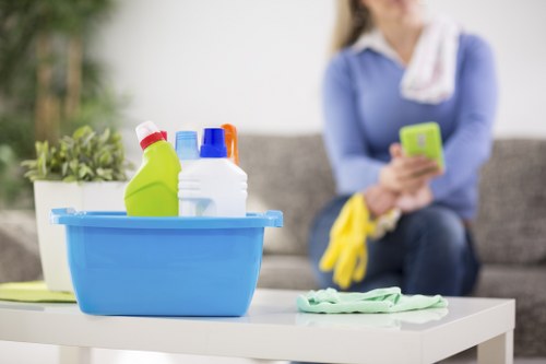 Enzyme cleaning for pet odour treatment in Colyers home