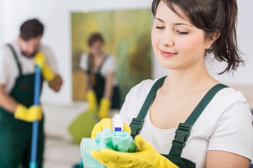 Spot treatment and fabric care for furniture upholstery