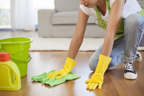 Trained cleaning staff working carefully in a property